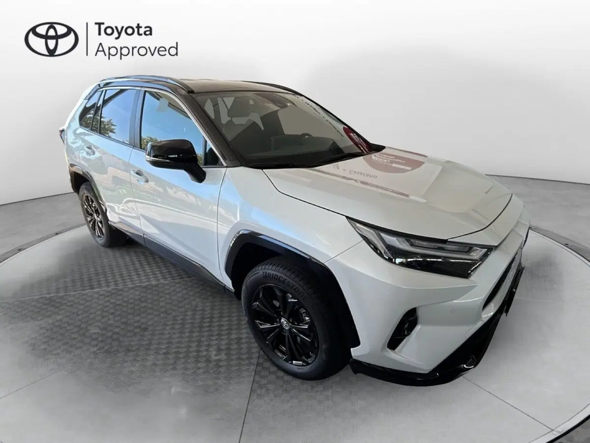 Toyota Rav4 usata a Lecce (3)