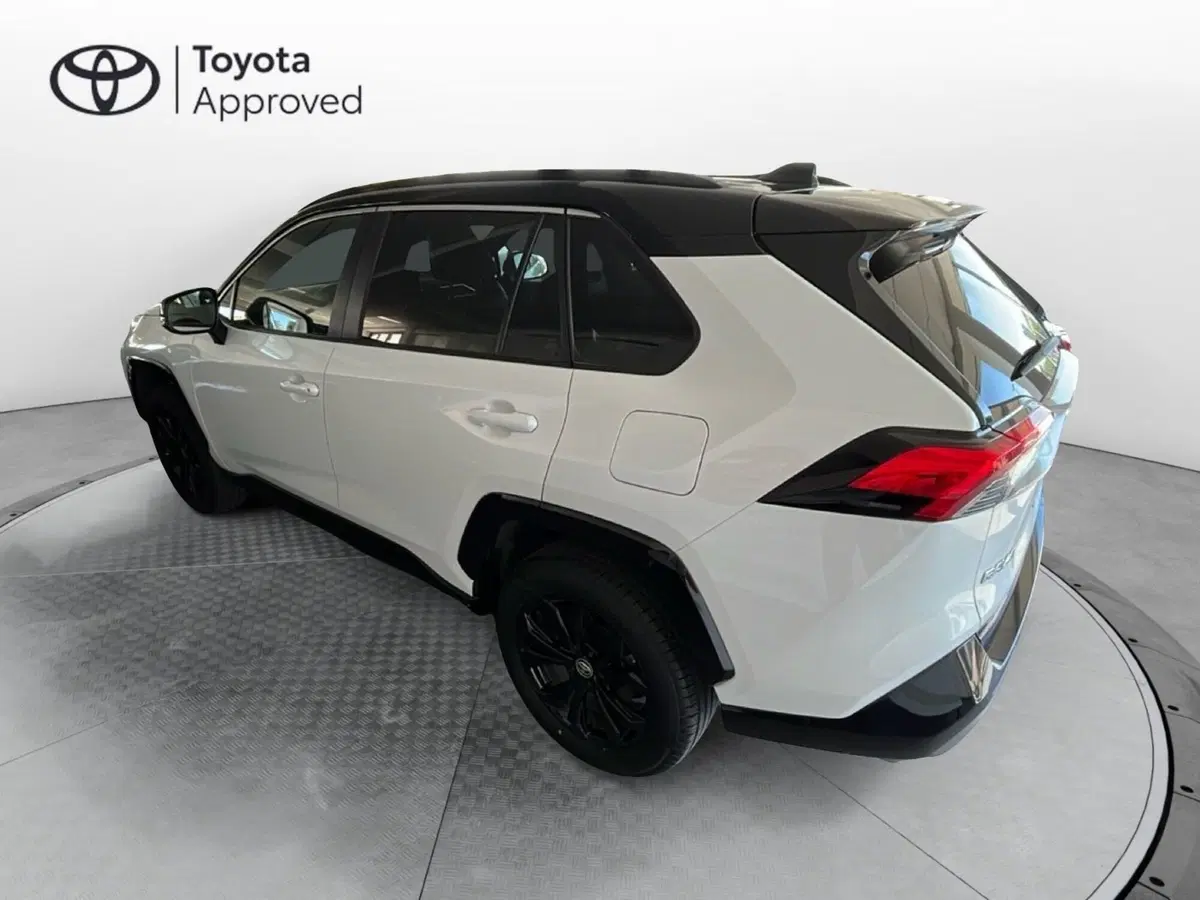 Toyota Rav4 usata a Lecce (4)