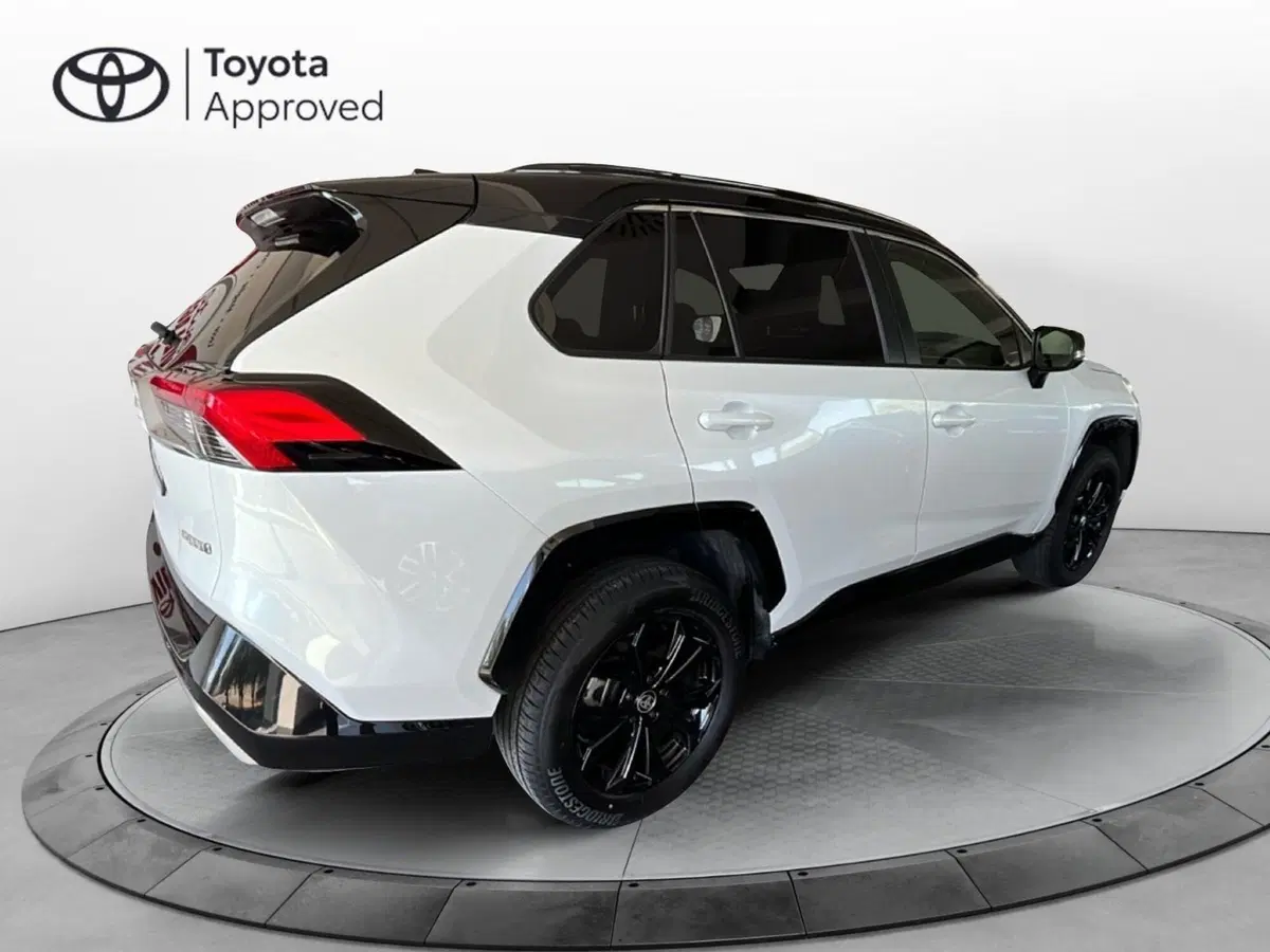 Toyota Rav4 usata a Lecce (6)