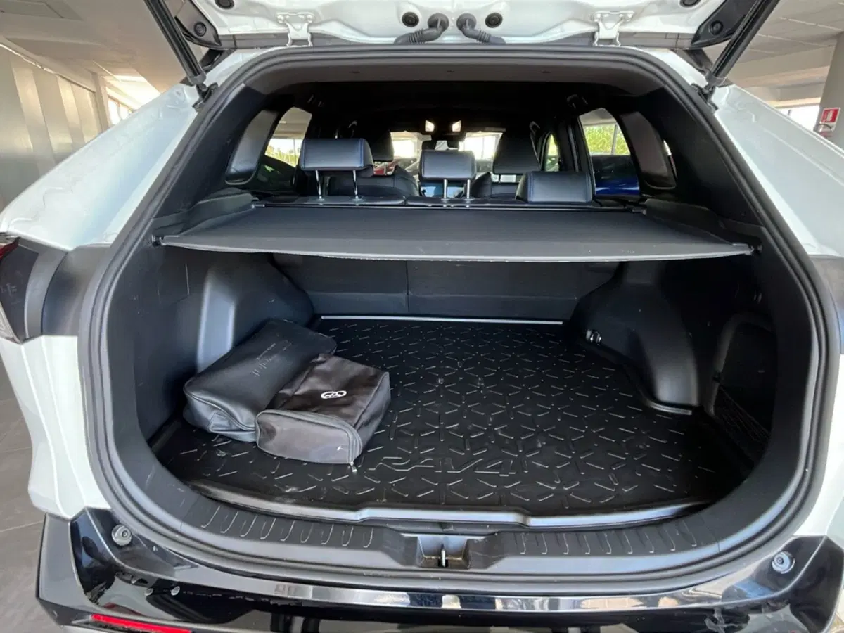 Toyota Rav4 usata a Lecce (7)