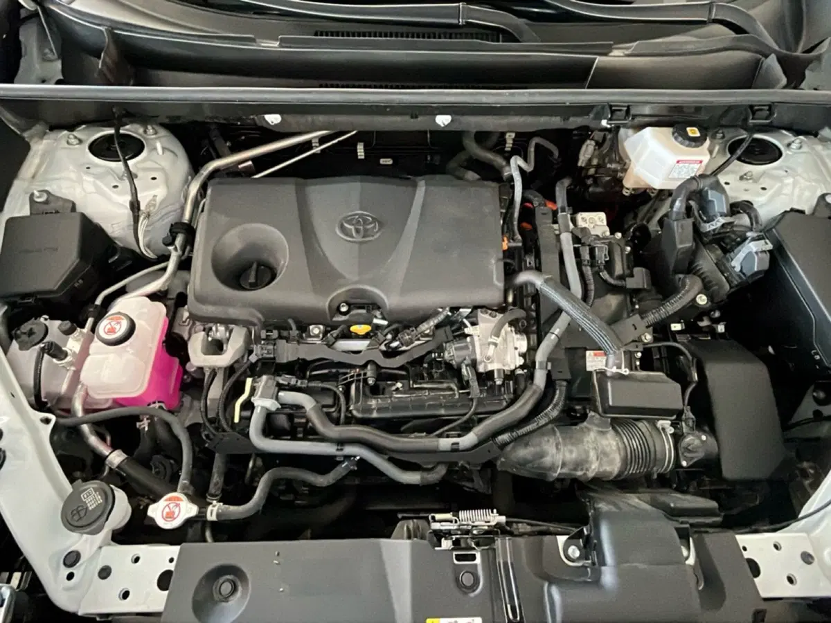 Toyota Rav4 usata a Lecce (8)
