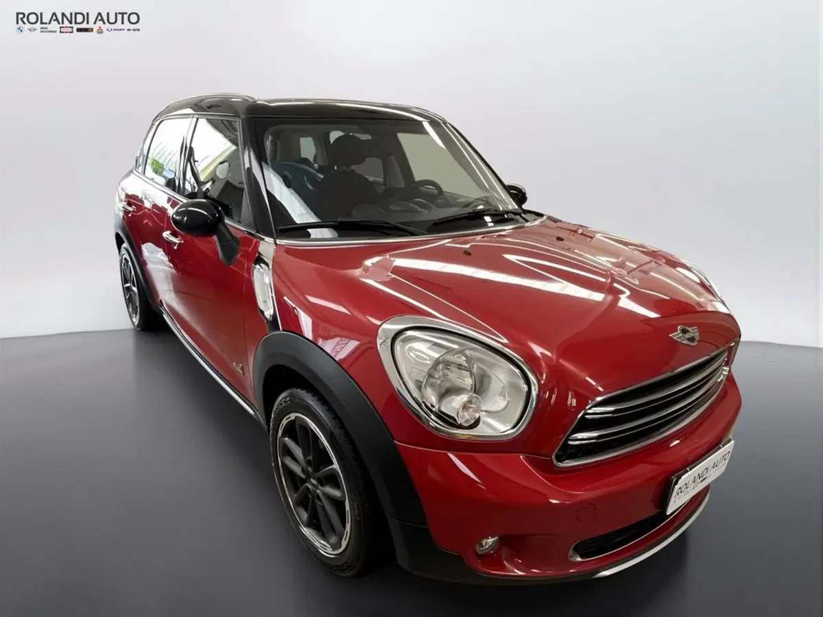 MINI Mini Countryman usata a Alessandria (3)