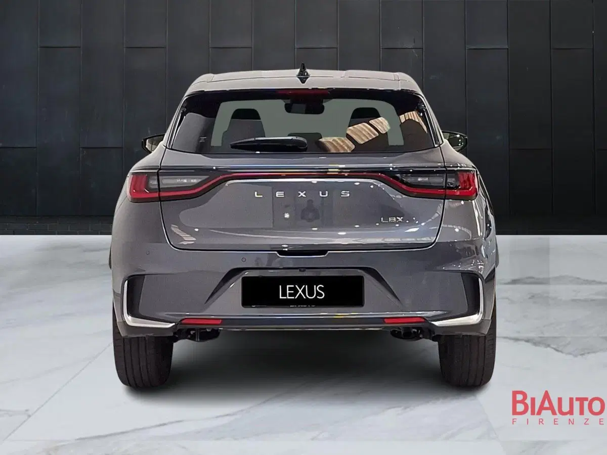 Lexus LBX usata a Firenze (11)