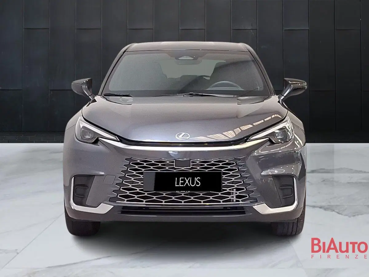 Lexus LBX usata a Firenze (12)