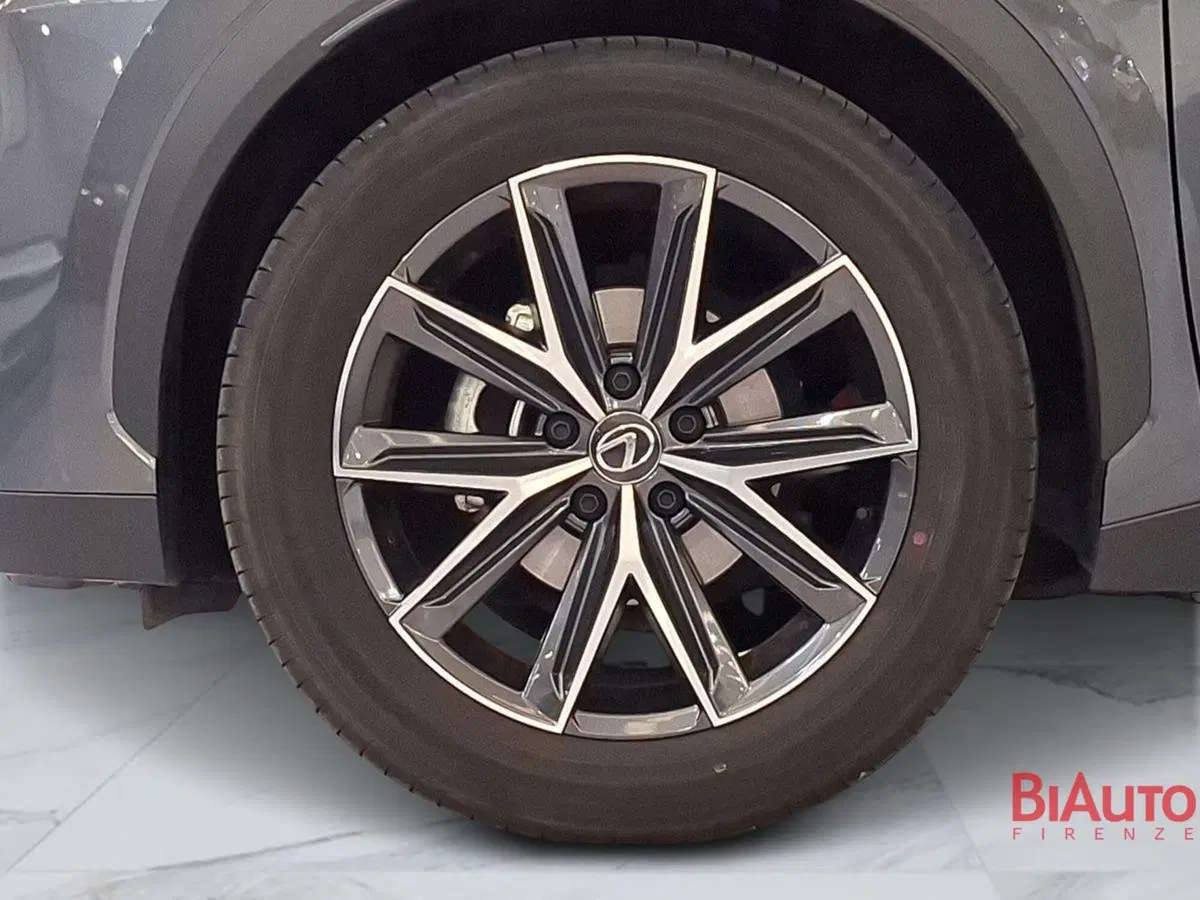 Lexus LBX usata a Firenze (13)