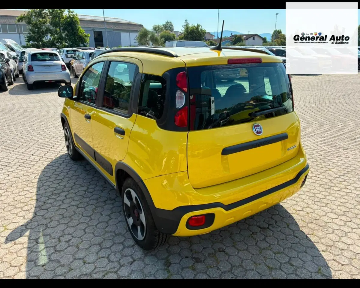 Fiat Panda usata a Lucca (5)
