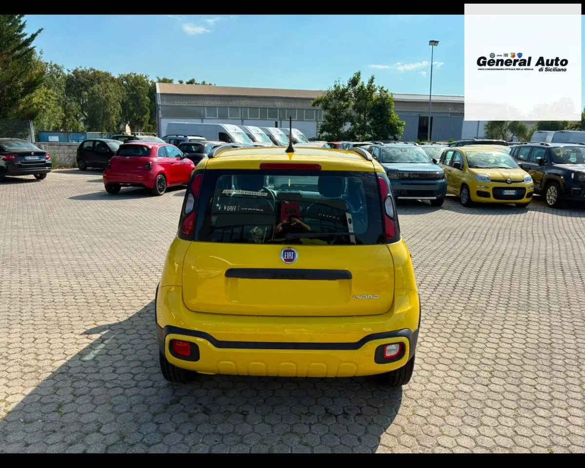 Fiat Panda usata a Lucca (6)