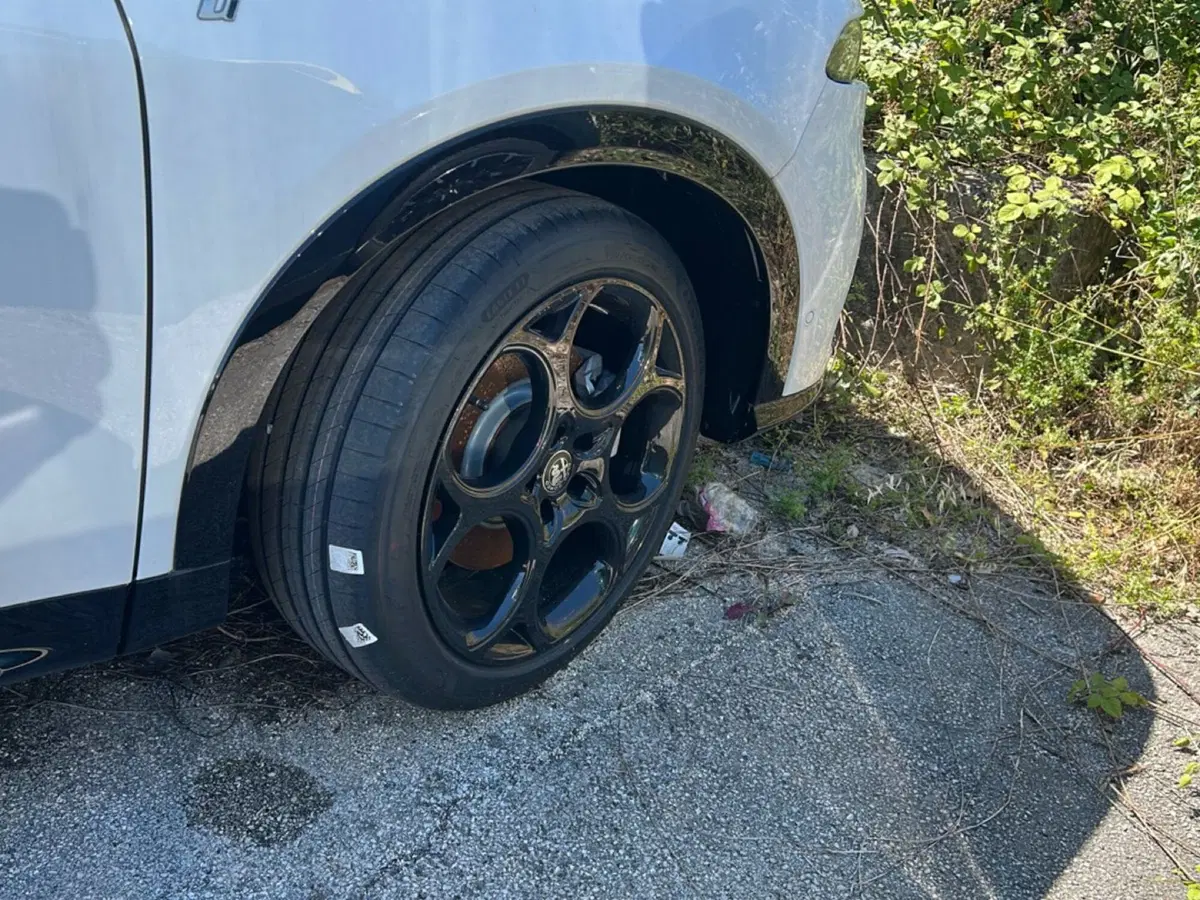 Alfa Romeo Tonale nuova a Frosinone (5)