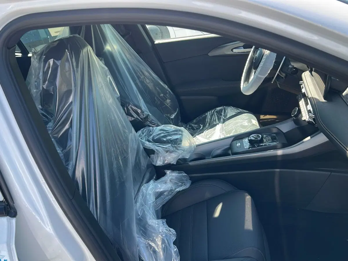 Alfa Romeo Tonale nuova a Frosinone (7)