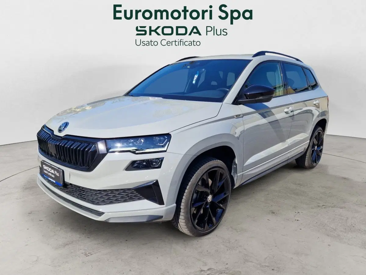 Skoda Karoq usata a Grosseto