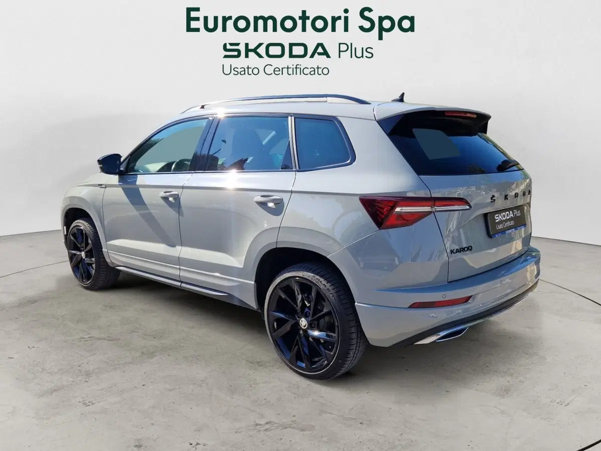 Skoda Karoq usata a Grosseto (3)