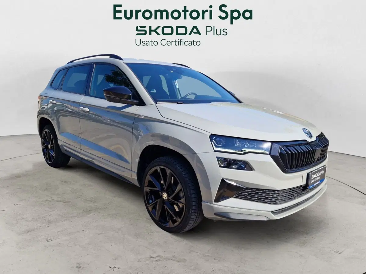 Skoda Karoq usata a Grosseto (7)