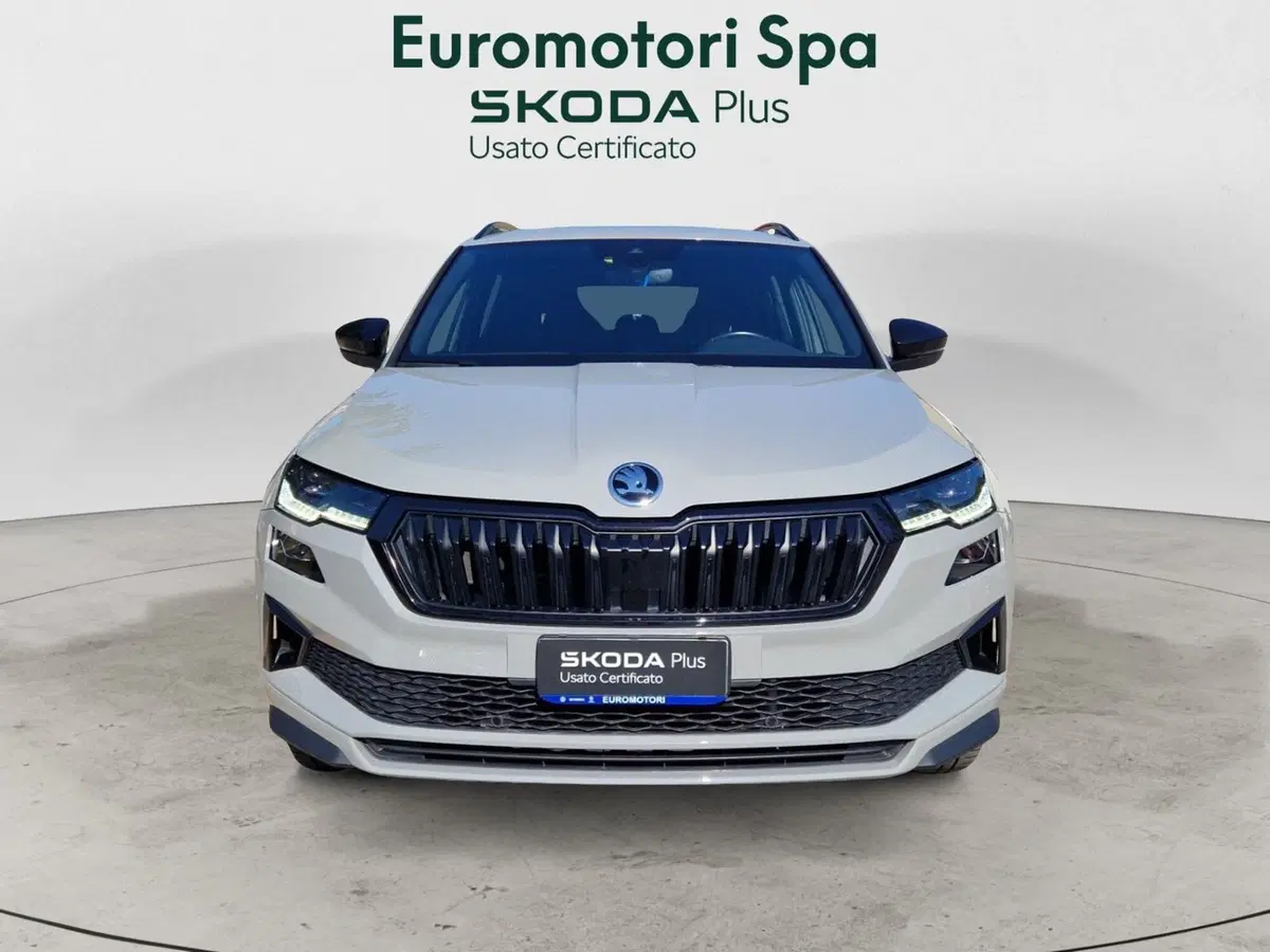 Skoda Karoq usata a Grosseto (8)