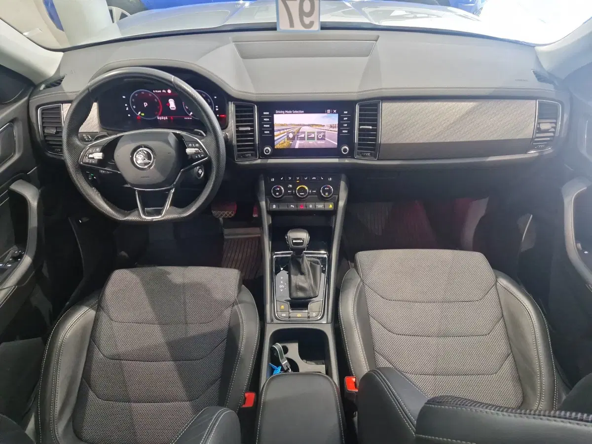 Skoda Kodiaq usata a Siena (10)