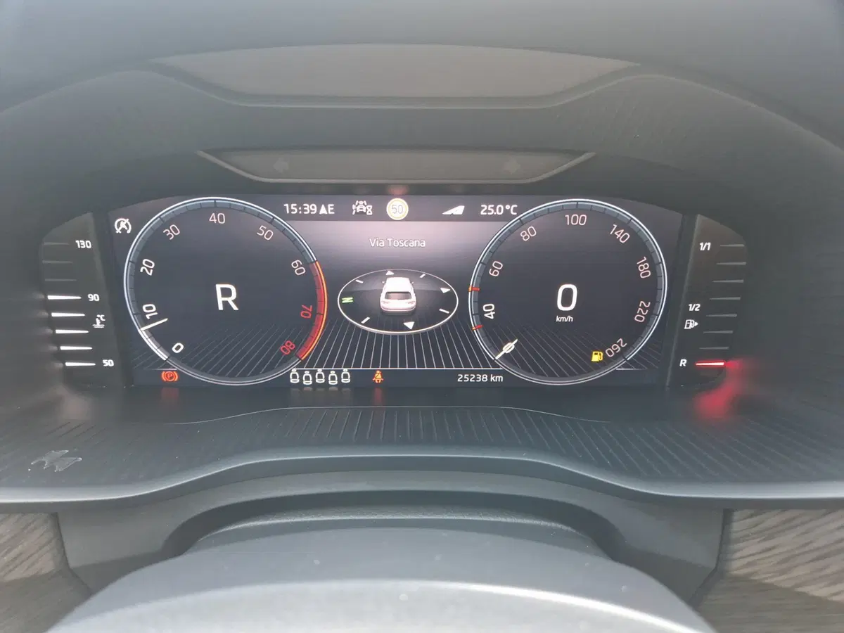 Skoda Kodiaq usata a Siena (14)