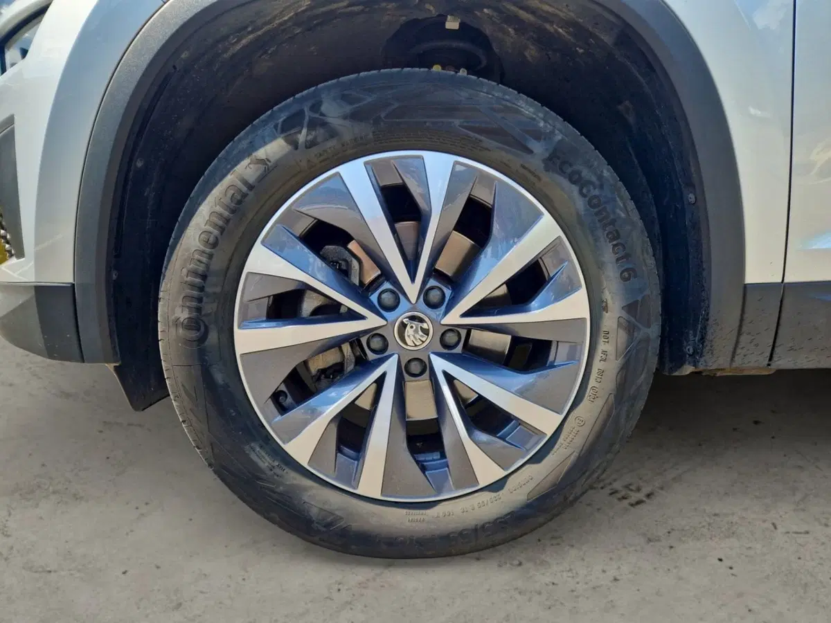 Skoda Kodiaq usata a Siena (9)
