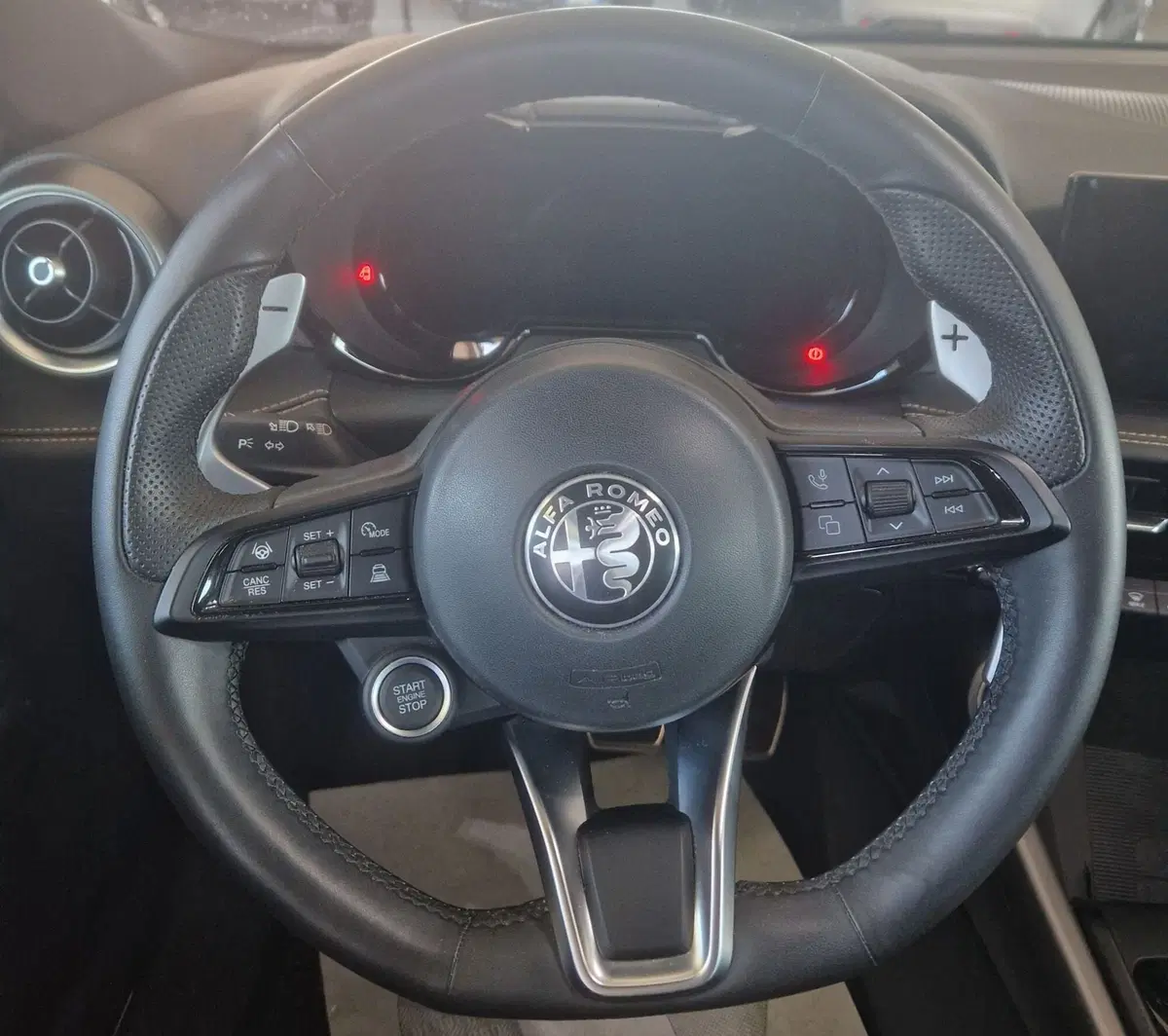 Alfa Romeo Tonale usata a Terni (12)