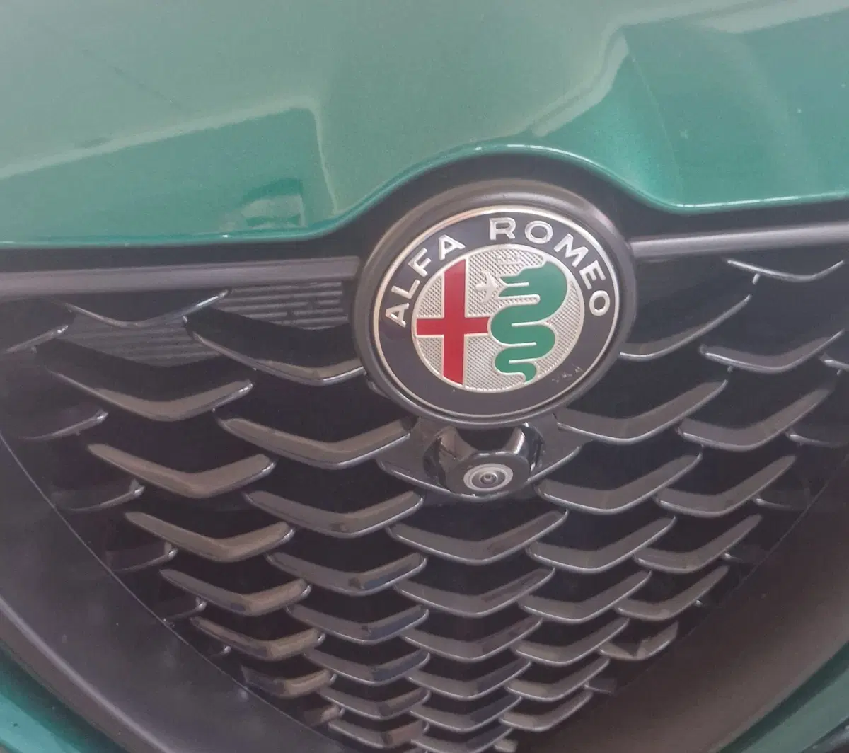 Alfa Romeo Tonale usata a Terni (20)