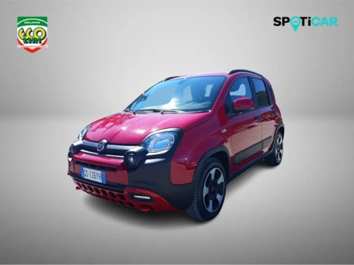 Fiat Panda Cross usata a Frosinone (14)