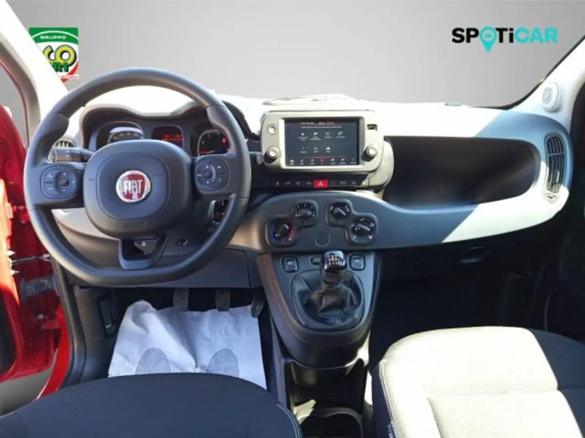 Fiat Panda Cross usata a Frosinone (8)