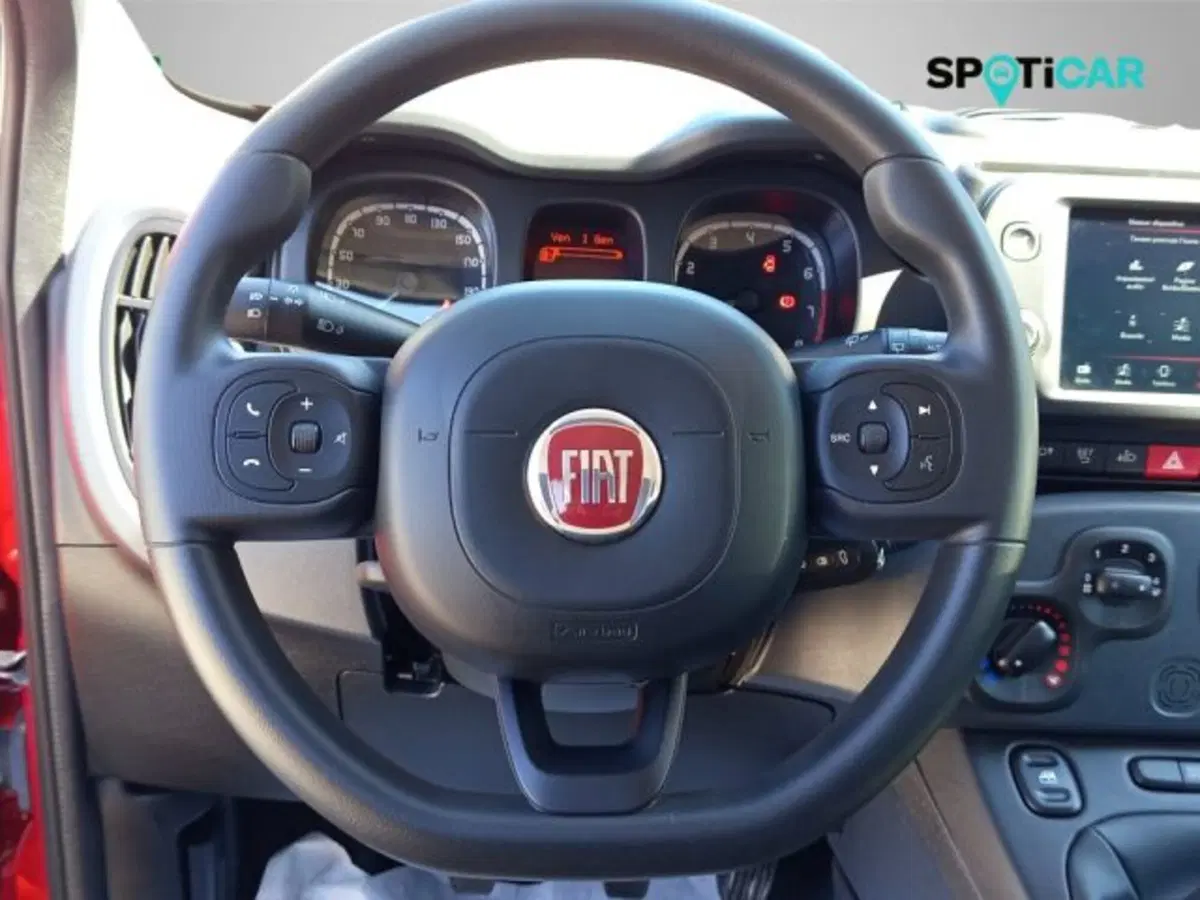 Fiat Panda Cross usata a Frosinone (9)