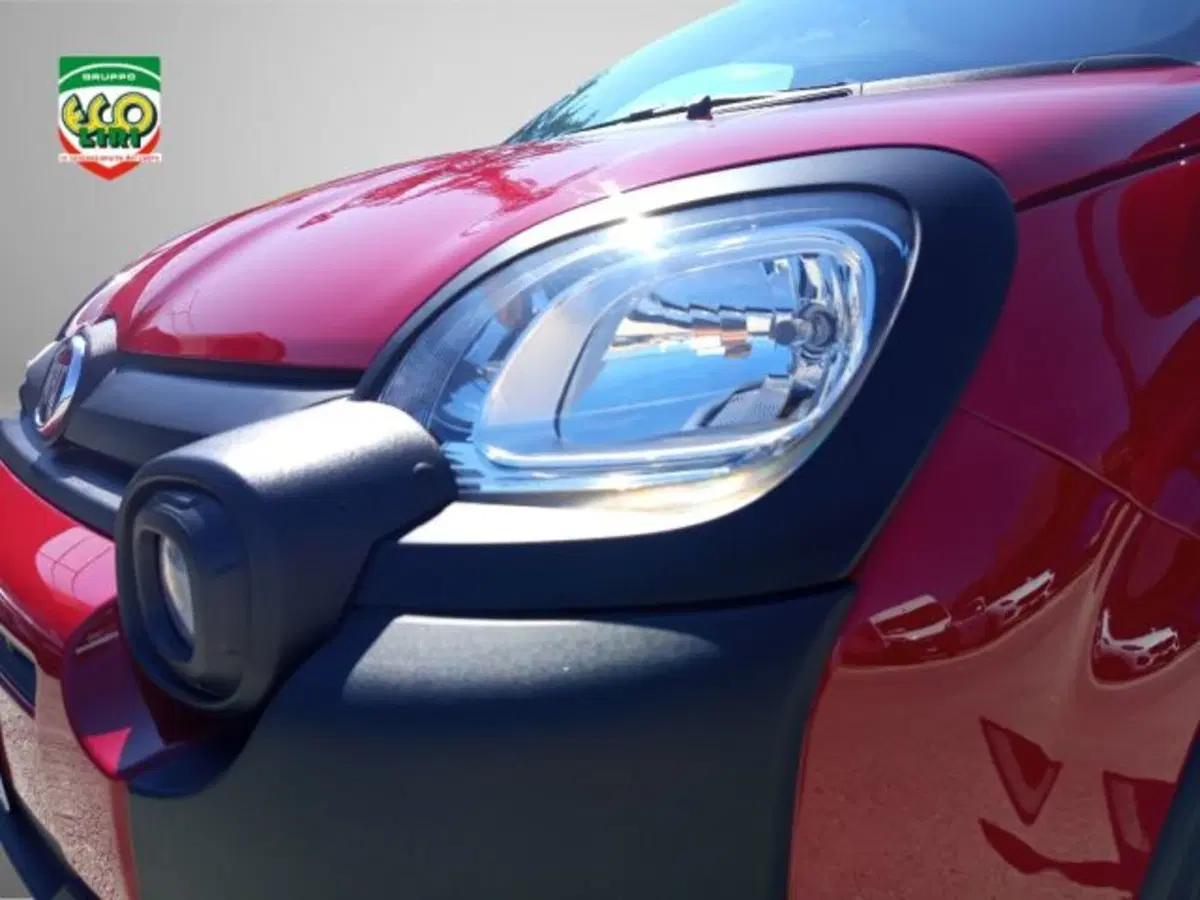 Fiat Panda Cross usata a Frosinone (12)