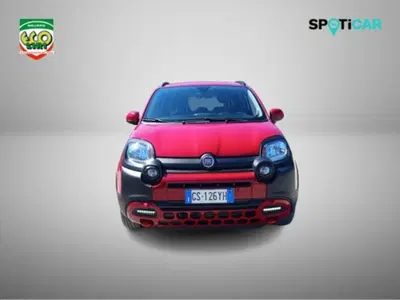 Fiat Panda Cross 1.0 firefly hybrid Cross s&amp;s 70cv 5p.ti del 2024 usata a San Giorgio a Liri