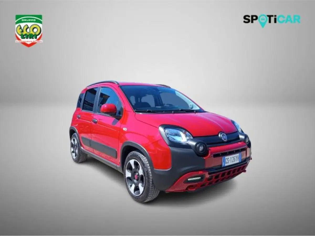Fiat Panda Cross usata a Frosinone (2)