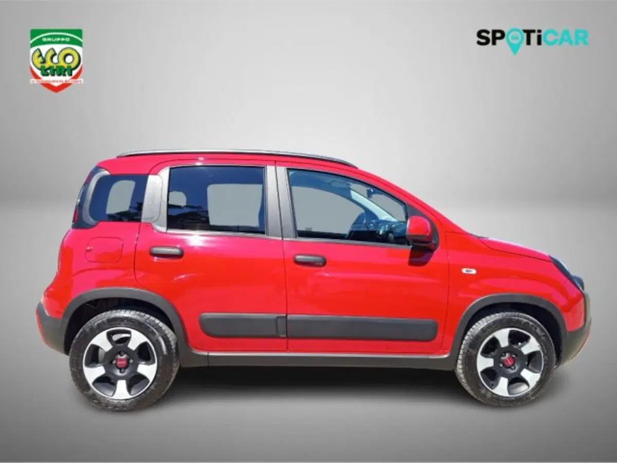Fiat Panda Cross usata a Frosinone (3)