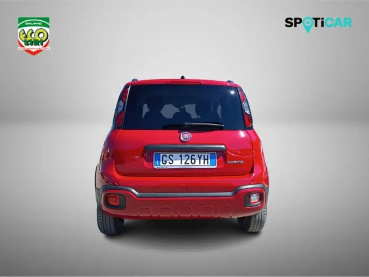 Fiat Panda Cross usata a Frosinone (15)