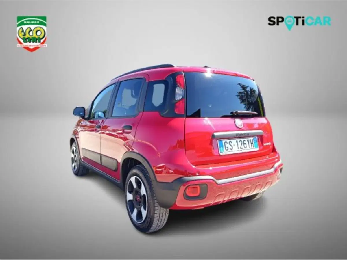 Fiat Panda Cross usata a Frosinone (4)