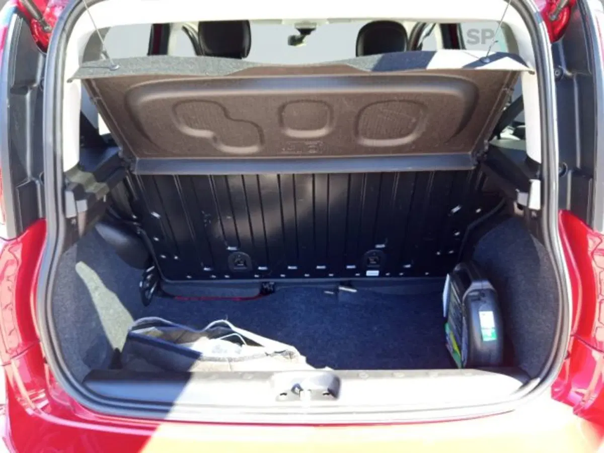 Fiat Panda Cross usata a Frosinone (5)