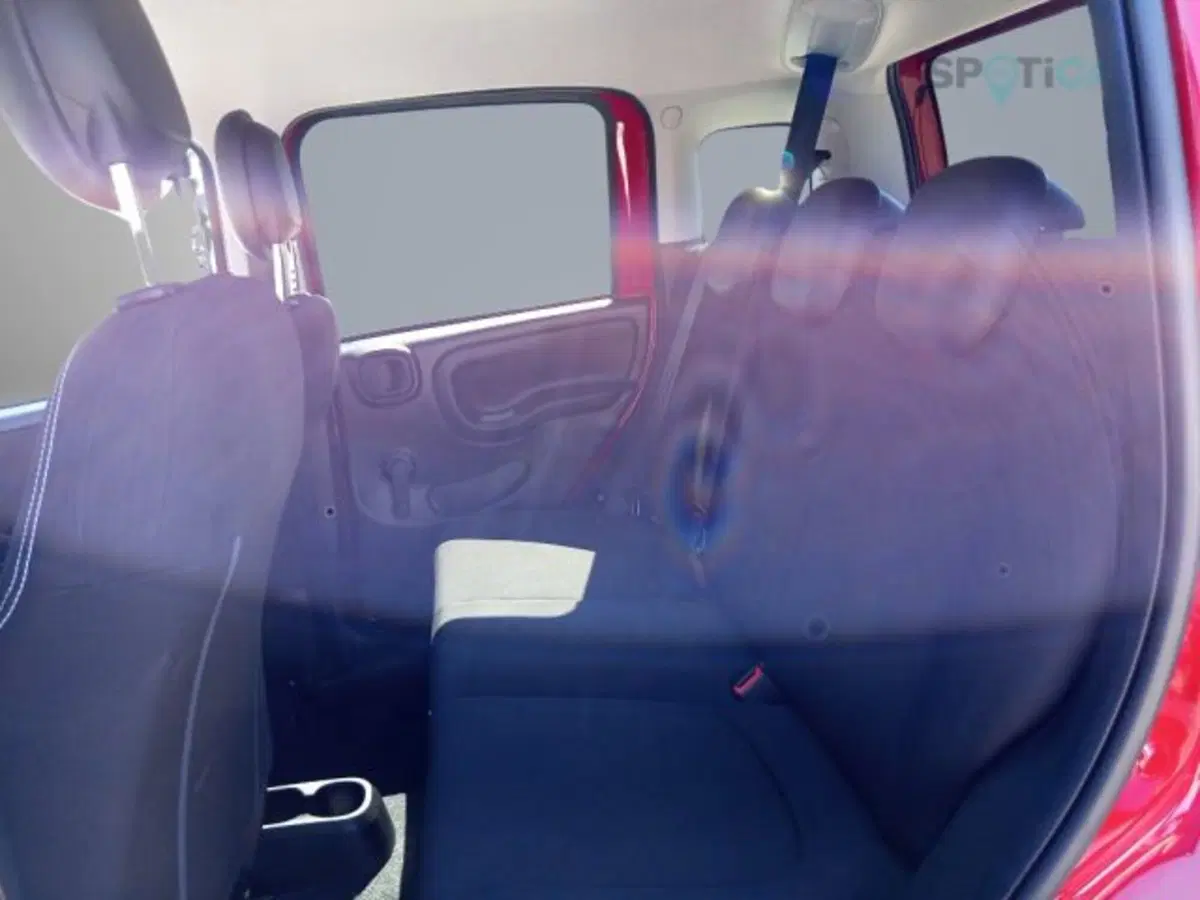 Fiat Panda Cross usata a Frosinone (7)