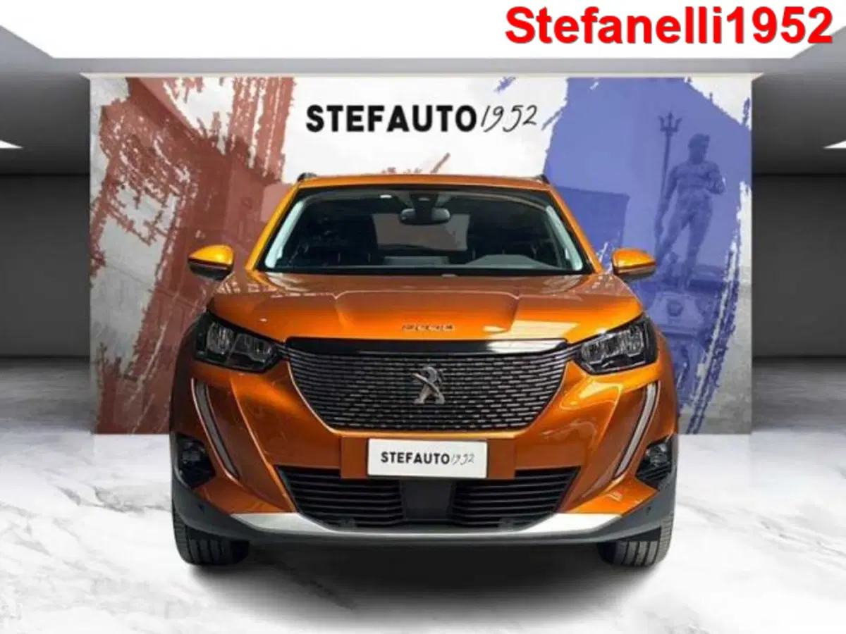 Peugeot 2008 usata a Bologna (2)
