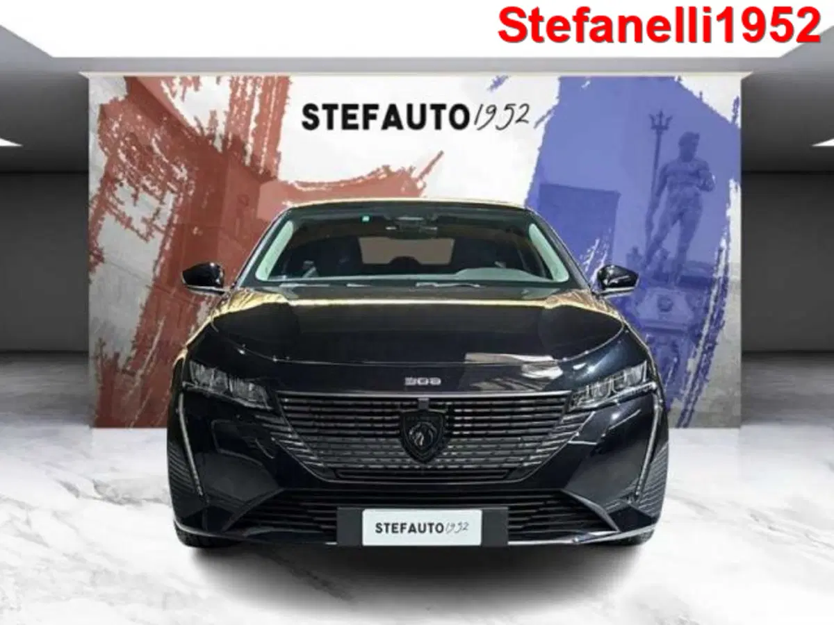 Peugeot 308 SW usata a Bologna (2)