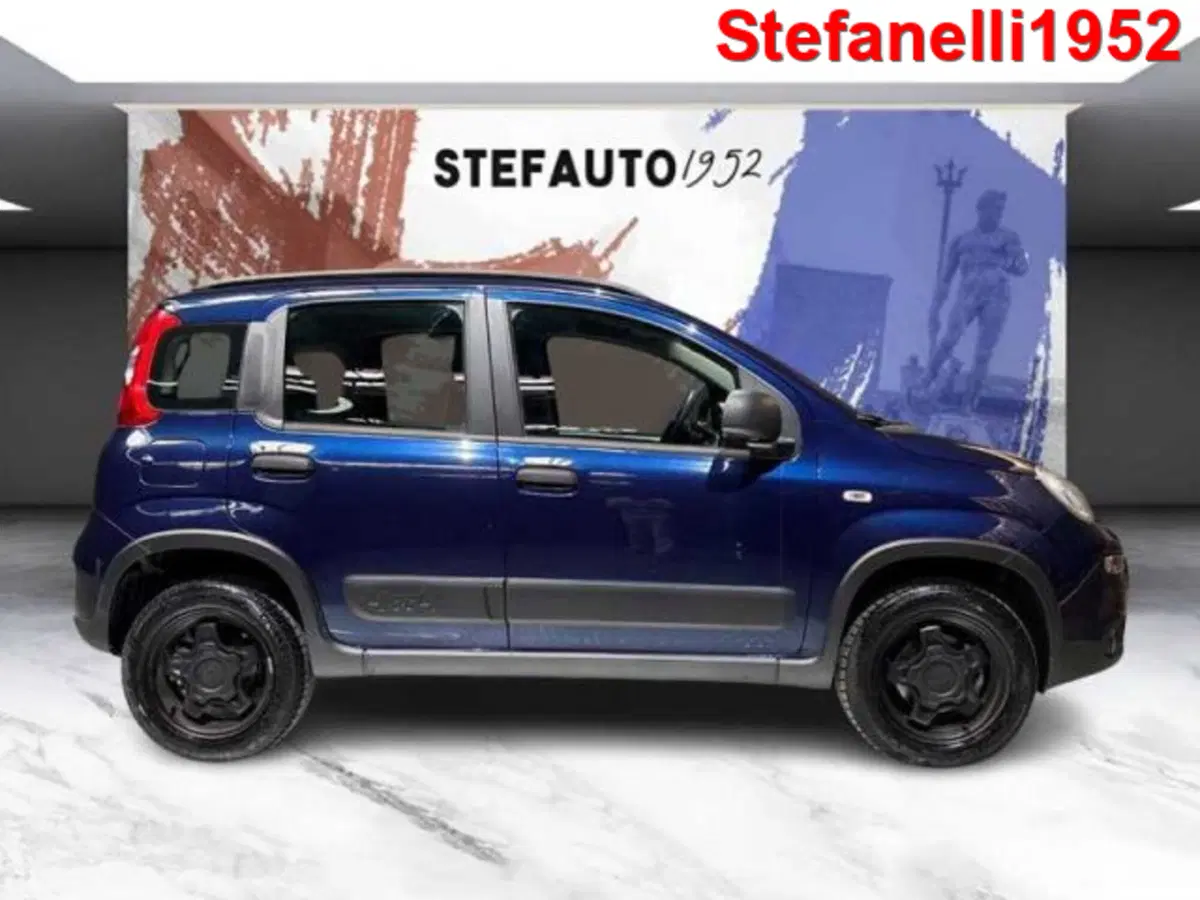 Fiat Panda usata a Bologna (3)