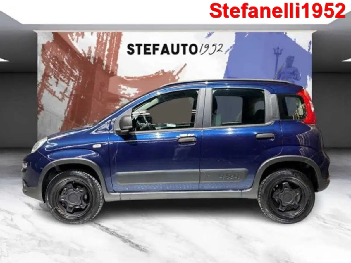 Fiat Panda usata a Bologna (4)
