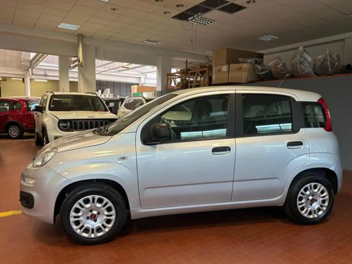 Fiat Panda usata a Vercelli (8)