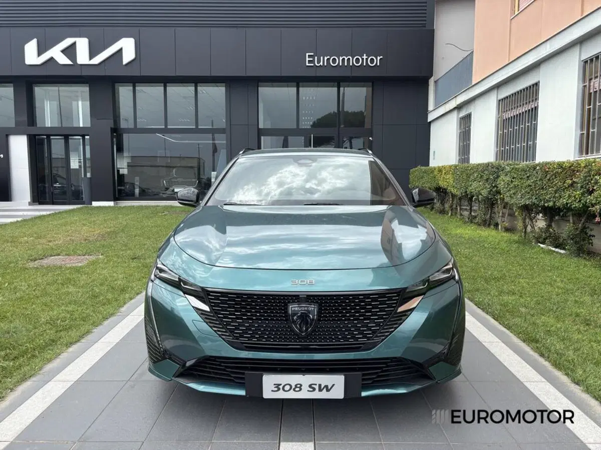 Peugeot 308 SW usata a Bari (2)