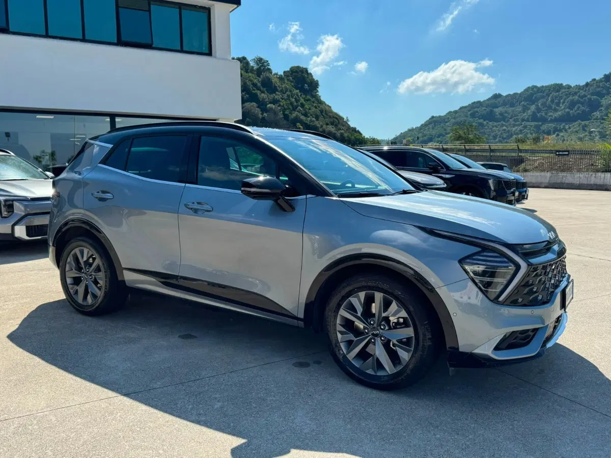 Kia Sportage usata a Cosenza (10)