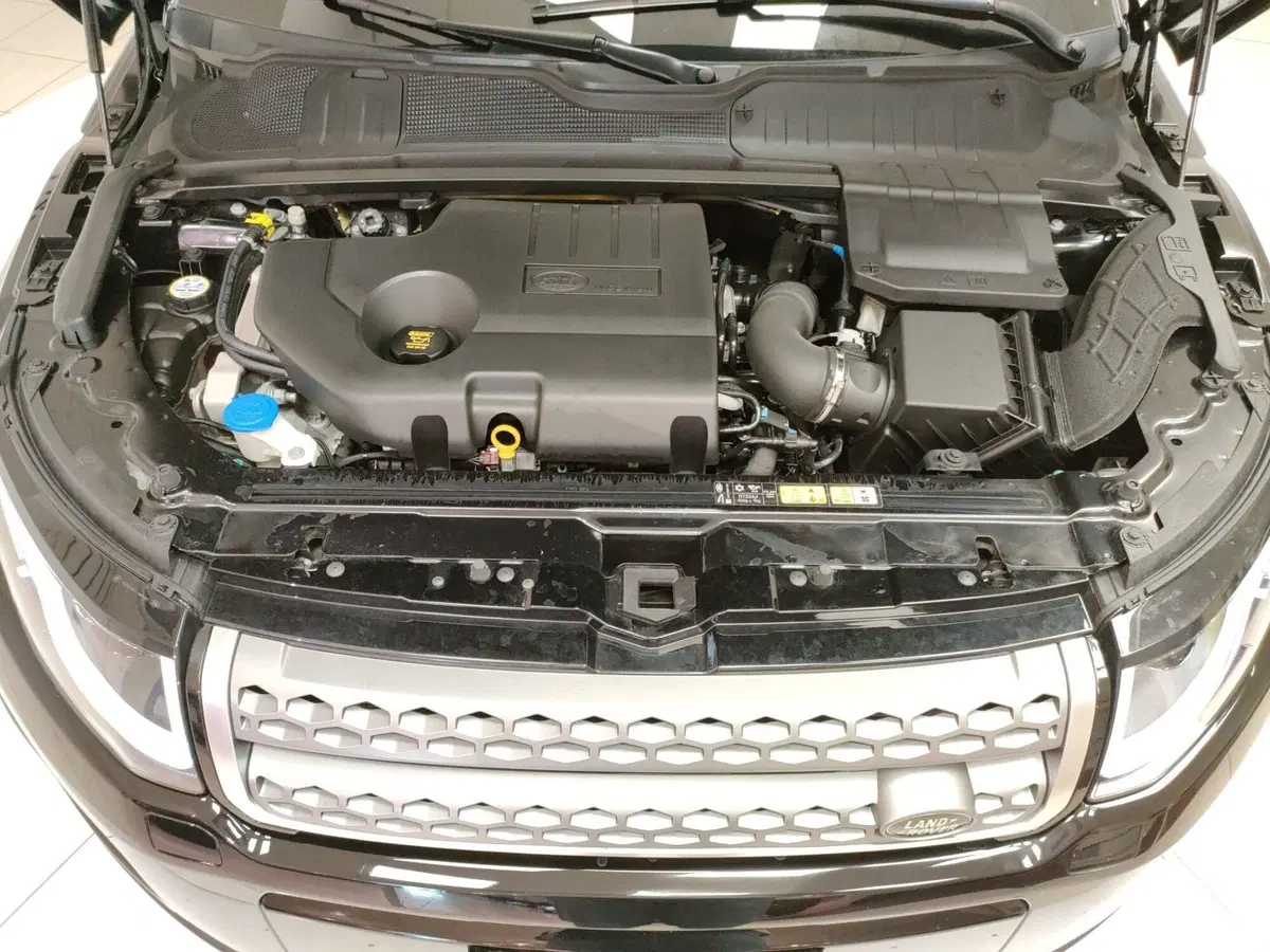 Land Rover Range Rover Evoque usata a Ascoli Piceno (10)