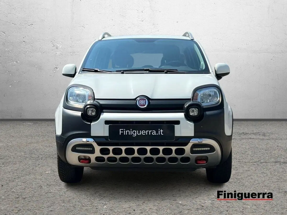 Fiat Panda Cross usata a Sondrio (2)