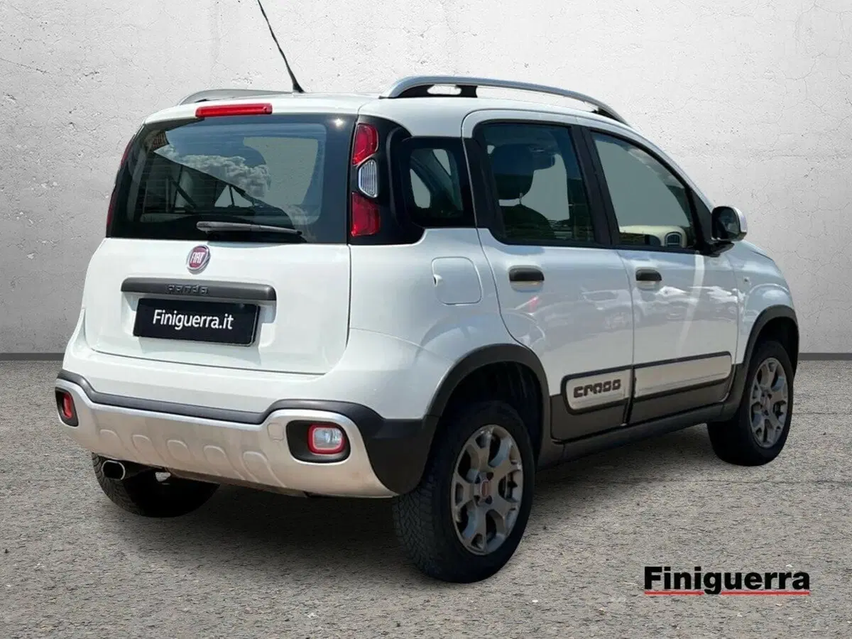 Fiat Panda Cross usata a Sondrio (4)