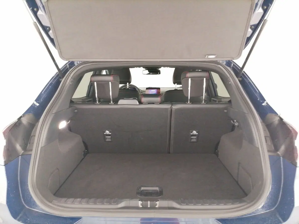 Ford Puma usata a Roma (10)