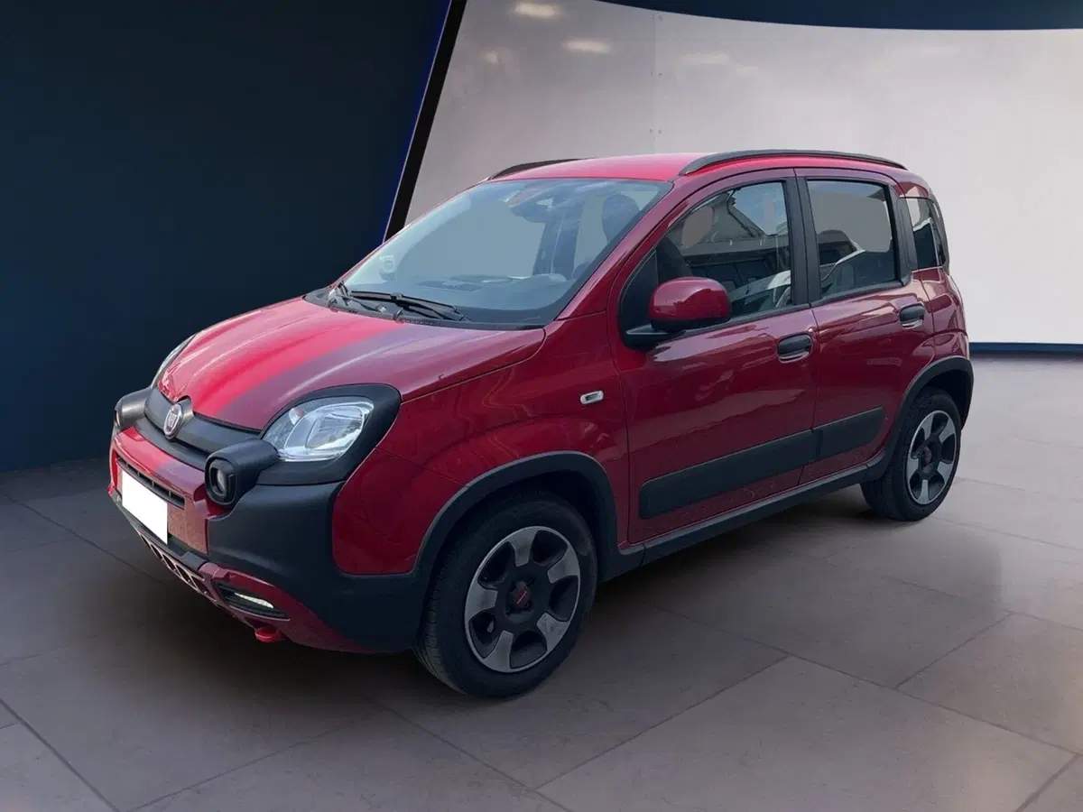 Fiat Panda usata a Torino (2)