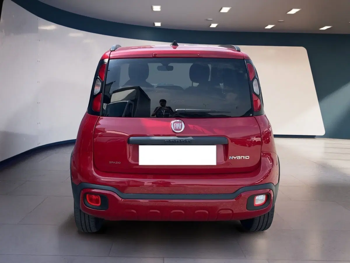 Fiat Panda usata a Torino (4)