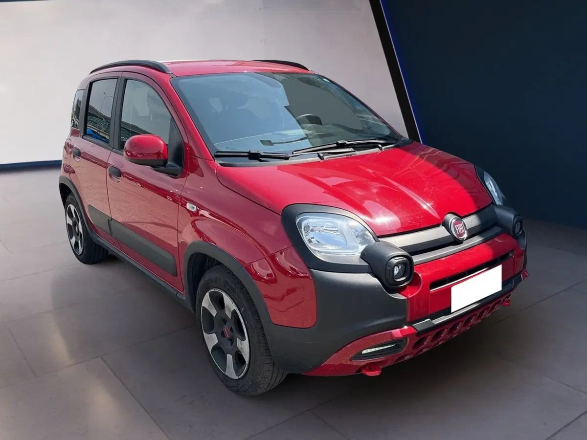 Fiat Panda usata a Torino (6)