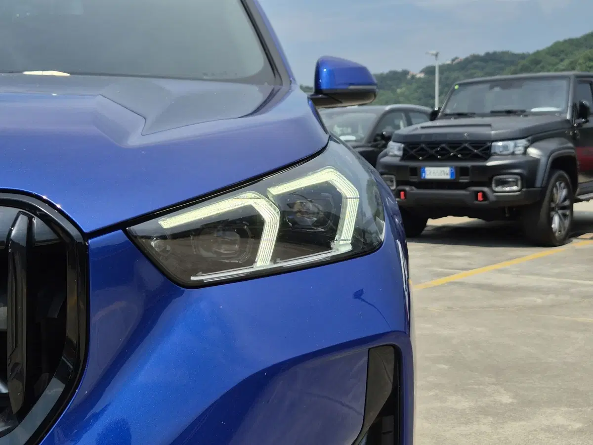 BMW X1 usata a Cuneo (18)