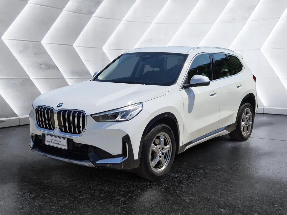 BMW X1 usata 