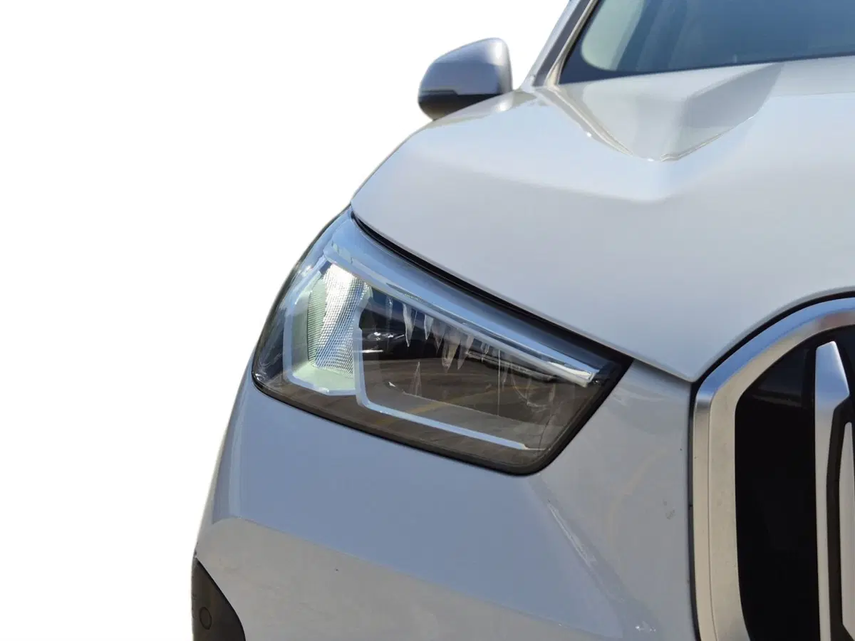 BMW X1 usata  (18)